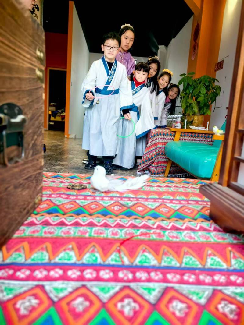 奉贤区文旅项目策划